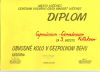 diplom002.jpg